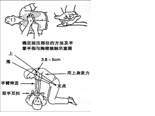 電腦心肺復蘇模擬人,中小學安全教育訓練模擬人